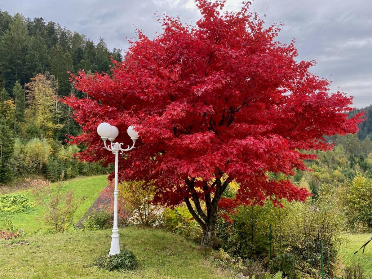 Ferienwohnung Zur Bierliebe - Mit Toller Aussicht Im Herzen Des Schwarzwaldes ฮอร์นแบร์ก ภายนอก รูปภาพ