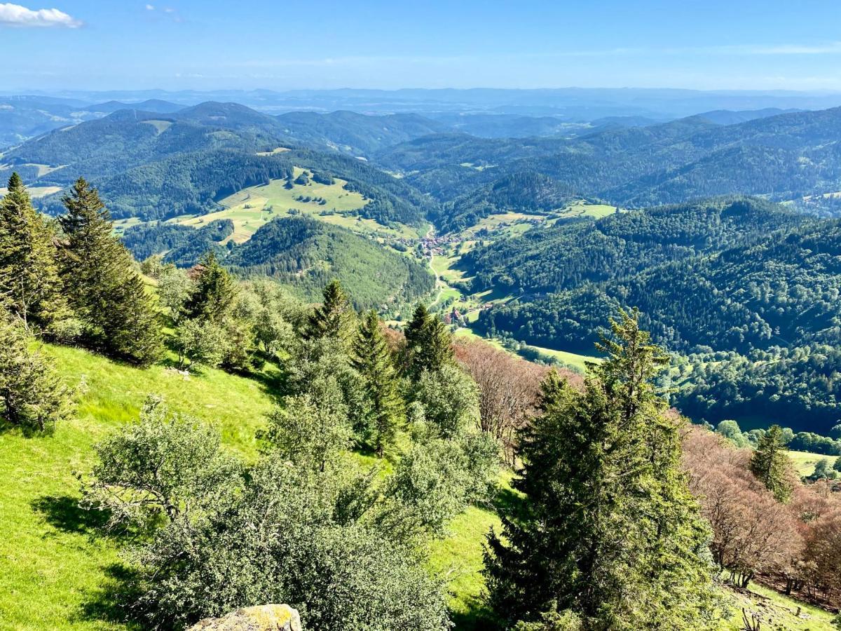 Ferienwohnung Zur Bierliebe - Mit Toller Aussicht Im Herzen Des Schwarzwaldes ฮอร์นแบร์ก ภายนอก รูปภาพ